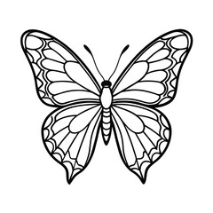 butterfly drawing art vector
