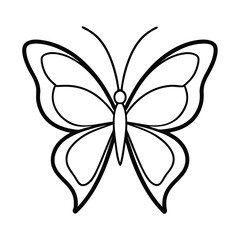 butterfly drawing art vector
