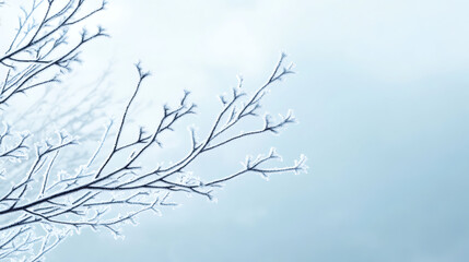 Abstract Winter Tree Branch Pattern on Frozen Surface, Textarea 