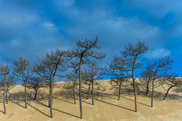 Dune of Pilat in France