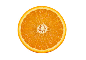 Cross Section of a Juicy Orange