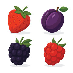 fruit set strawberry plum blackberry raspberry