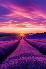 Selbstklebende Fototapeten Lavender Fields Sunset: A vibrant scene of endless lavender fields bathed in the golden hues of a stunning sunset, evoking feelings of tranquility and natural beauty. © Igvcd