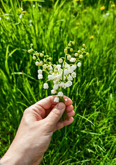 bouquet of lilies of the valley in hand on a background of green grass