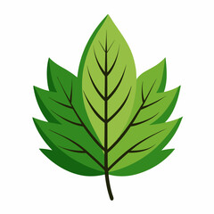 green leaf vector