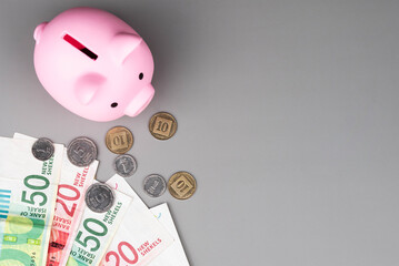 Israel currency New Israeli shekel (NIS) banknotes and agorot coins and a piggy bank, concept of saving money, inflation, economic crisis, rising prices, and financial management.