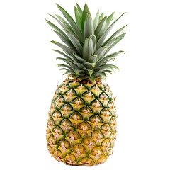 Fototapeta premium pineapple on white background