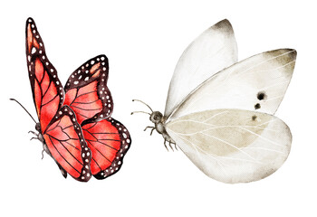 Delicate watercolor butterfly clipart set featuring a vibrant monarch and pale white wing insects elegant nature art for stationery home decor