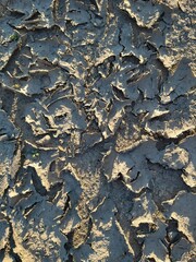 Natural and fertile loam soil prepared for planting &ndash; perfect for home gardening and sustainable farming