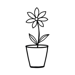 hand drawn flower plant with pot