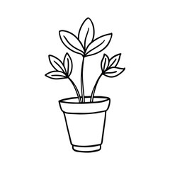 hand drawn flower plant with pot