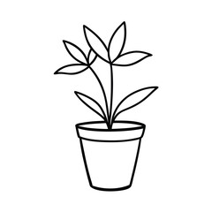 hand drawn flower plant with pot