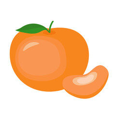 Orange mandarin whole and slice. 