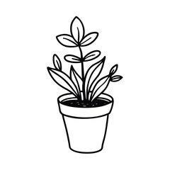 hand drawn plum tree with pot