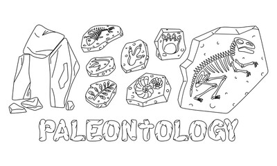 set of fossils with the inscription Paleontology in doodle monochrome. Dinosaur footprints, fish bones, tyrannosaurus skeleton, plants and shells. for scientific posters, books, articles materials. © Svetlana