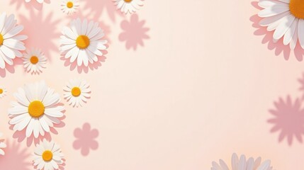 Daisy flowers with shadows against a pastel pink background.