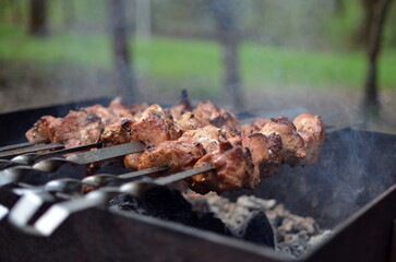 shish kebab on the grill
