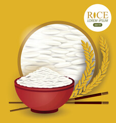 Rice. Vector illustration.