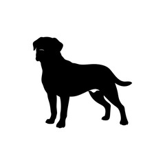 Rottweiler Dog Silhouette Isolated on Transparent Background