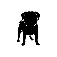 Pug Dog Silhouette Isolated on Transparent Background