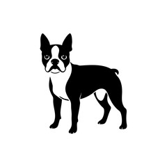 Boston Terrier Dog Silhouette Isolated on Transparent Background