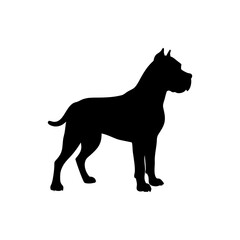 Fototapeta premium Cane Corso Dog Silhouette Isolated on Transparent Background