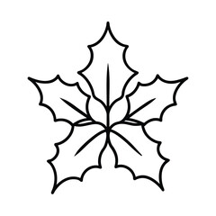 christmas star decoration