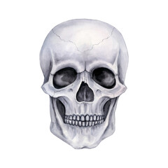 Human skull in full-face gray isolated. Watercolor illustration.