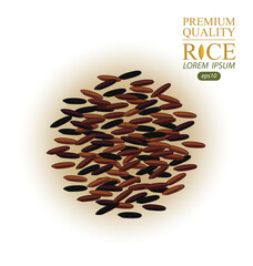 Rice grains isolated on white background. Vector illustration.