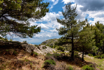 Beautiful spring landscape view from the north of Tunisia