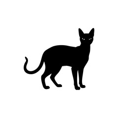 Abyssinian Cat Silhouette  Isolated on Transparent Background