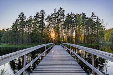Fototapeta premium wooden bridge in the forest