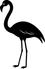 flamingo vector silhouette, Vector black flamingo silhouette, Black silhouette of tropical bird flamingo
