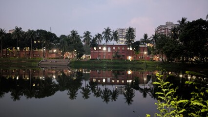 reflection in the water