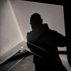 Mi sombra 9089 bis