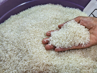 Dry Uncooked White Rice and Women Hand Background. Asian Cuisine and Culture. Healthy Eating Ingredients. Diet Food.