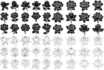 Elegant Rose Vector Silhouette & Line Art – Romantic Floral Design for Weddings

