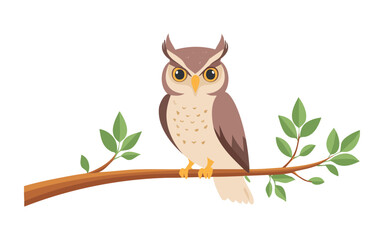 Cute Owls Perched Together on Branch