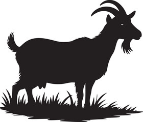 goat on a white background
