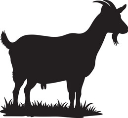 goat on white background
