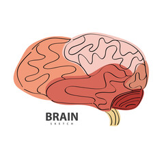 Brain doodle hand drawn vector illustration.