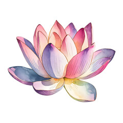 Watercolor Lotus Flower Illustration with Soft Pastel Petals