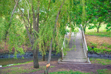 Sea of ​​Azov Taganrog city A small wooden bridge over a stream, surrounded by lush green...