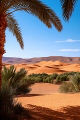 Golden Hour Desert Oasis: An awe-inspiring panoramic view captures a stunning desert scene with towering golden sand dunes under a pristine, clear blue sky, with green oasis.
