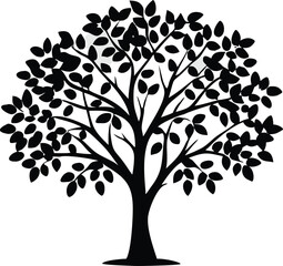 Eucalyptus trees icon set on white background. Stylized olive tree with lush green leaves. Decorative Stylized Tree Vector Set – Colorful Seasonal Trees with Leaves and Fruit for Nature vector design.