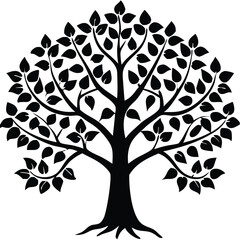 Obraz premium Eucalyptus trees icon set on white background. Stylized olive tree with lush green leaves. Decorative Stylized Tree Vector Set – Colorful Seasonal Trees with Leaves and Fruit for Nature vector design.