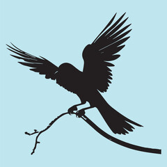 black silhouette of a bird side view isolated