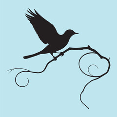 black silhouette of a bird side view isolated