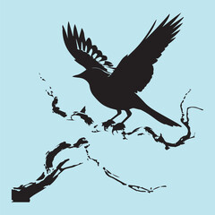 black silhouette of a bird side view isolated