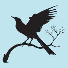 black silhouette of a bird side view isolated